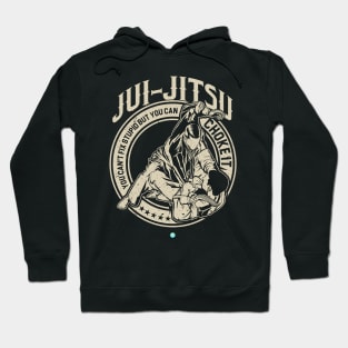 Jiu Jitsu Can't Fix Stupid But You Can Choke It Gift Hoodie